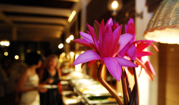 detail pic of reciption 6