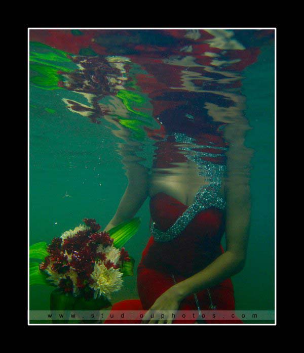 Studio U - Best Underwater Photography in Sri Lanka - 10