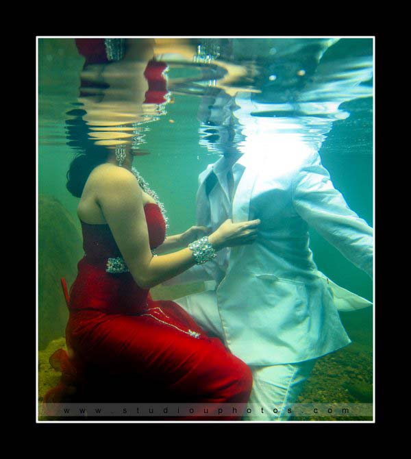 Studio U - Best Underwater Photography in Sri Lanka - 16