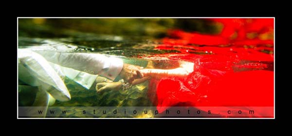 Studio U - Best Underwater Photography in Sri Lanka - 7