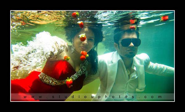 Studio U - Best Underwater Photography in Sri Lanka - 8