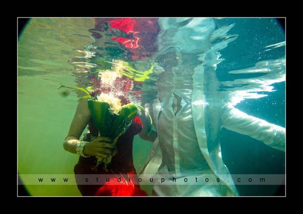 Studio U - Best Underwater Photography in Sri Lanka - 9